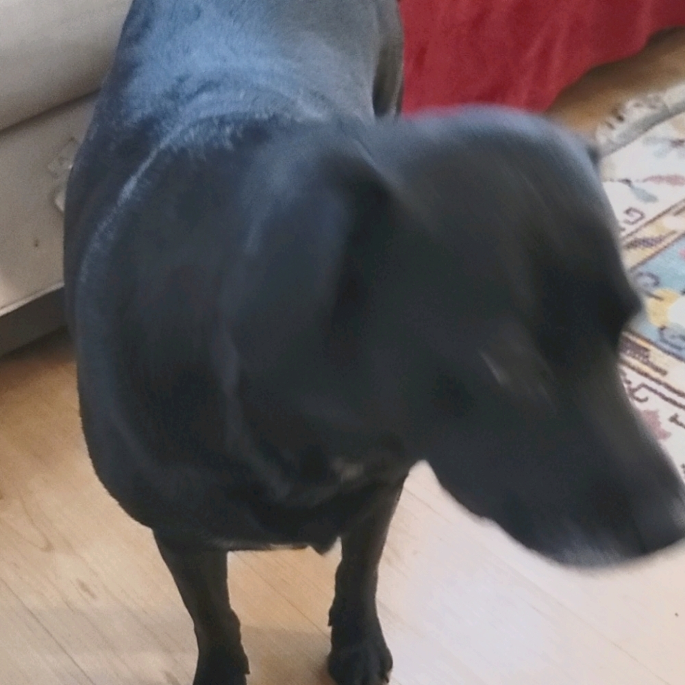 Meet your Posher, Bigg